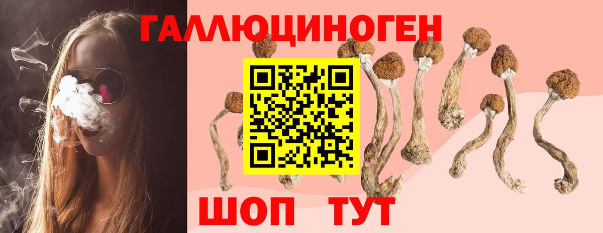 Псилоцибиновые грибы мицелий Сорочинск